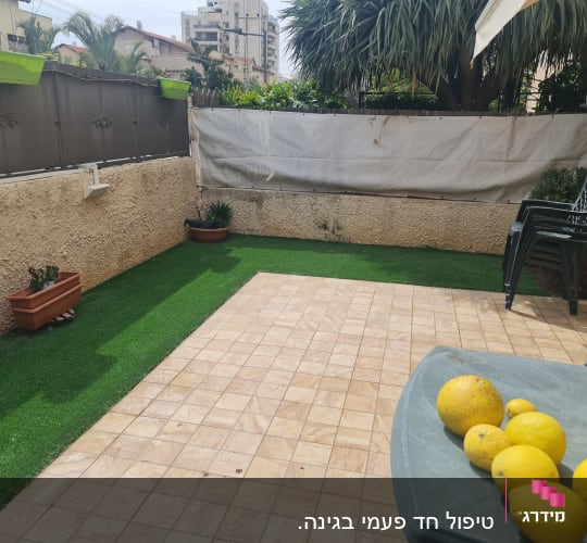 עציצים עם צמחים על דשא מלאכותי במרפסת